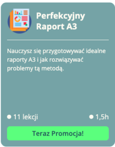 raport a3
