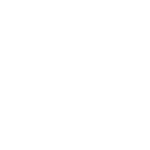 diagram żółwia ikona
